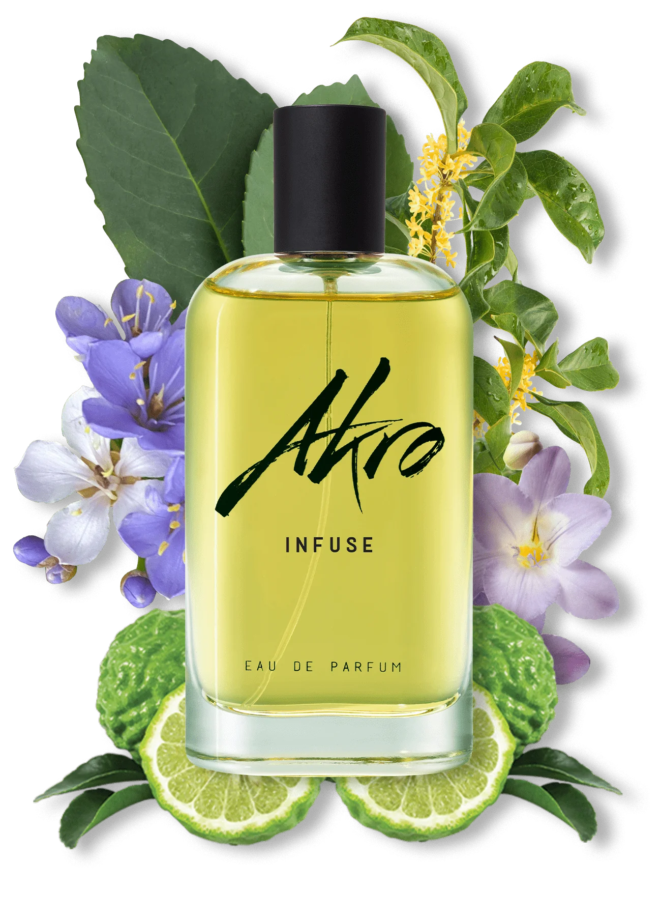 INFUSE - AKRO