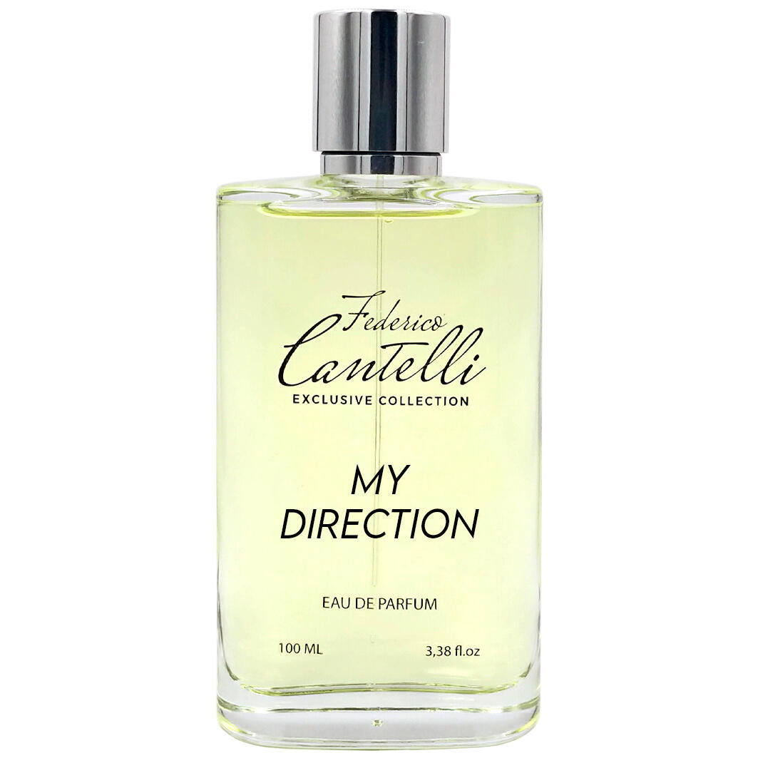 MY DIRECTION - FEDERICO CANTELLI