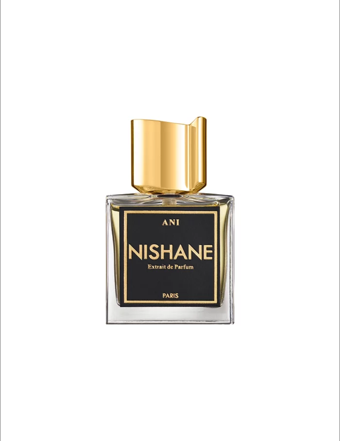 ANI - NISHANE